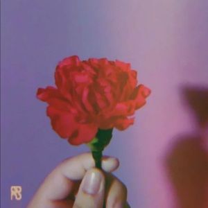 Meet your Posher, Nawal